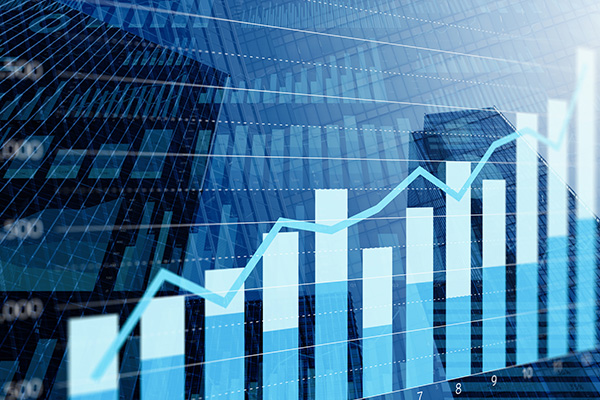 企業価値の向上